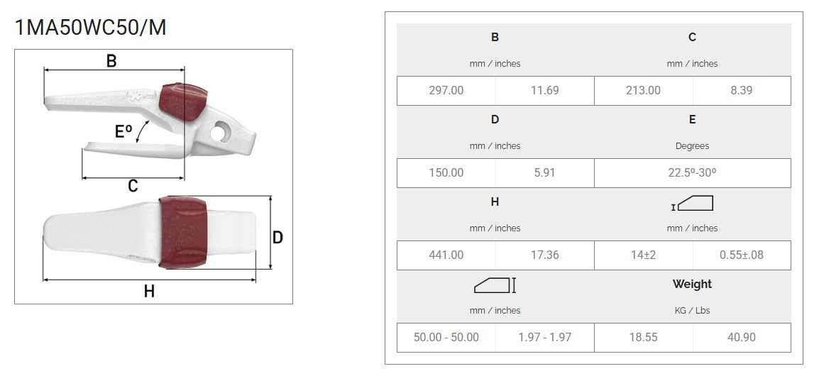Zahnhalter MTG 1MA50WC50 maße